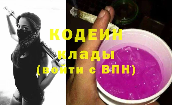 молекула духа Дмитровск