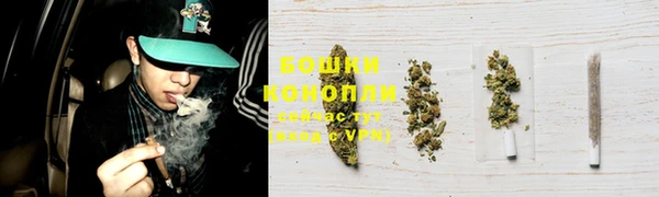 молекула духа Дмитровск
