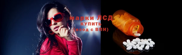 кокс Дмитриев