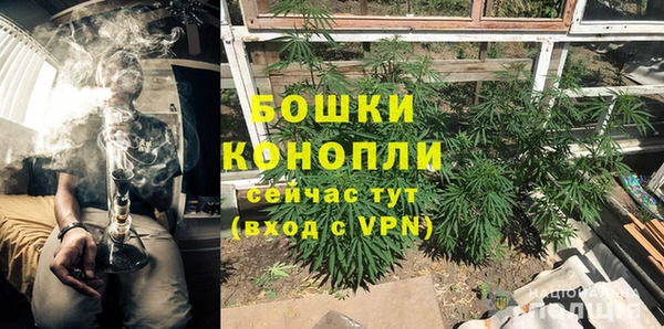 молекула духа Дмитровск