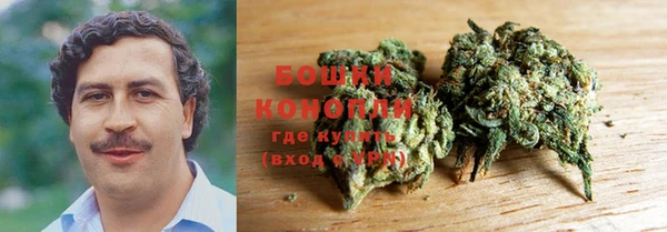 молекула духа Дмитровск