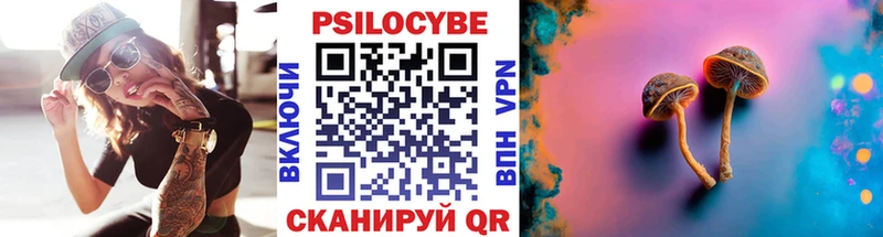 это клад Ивангород Галлюциногенные грибы Psilocybine cubensis
